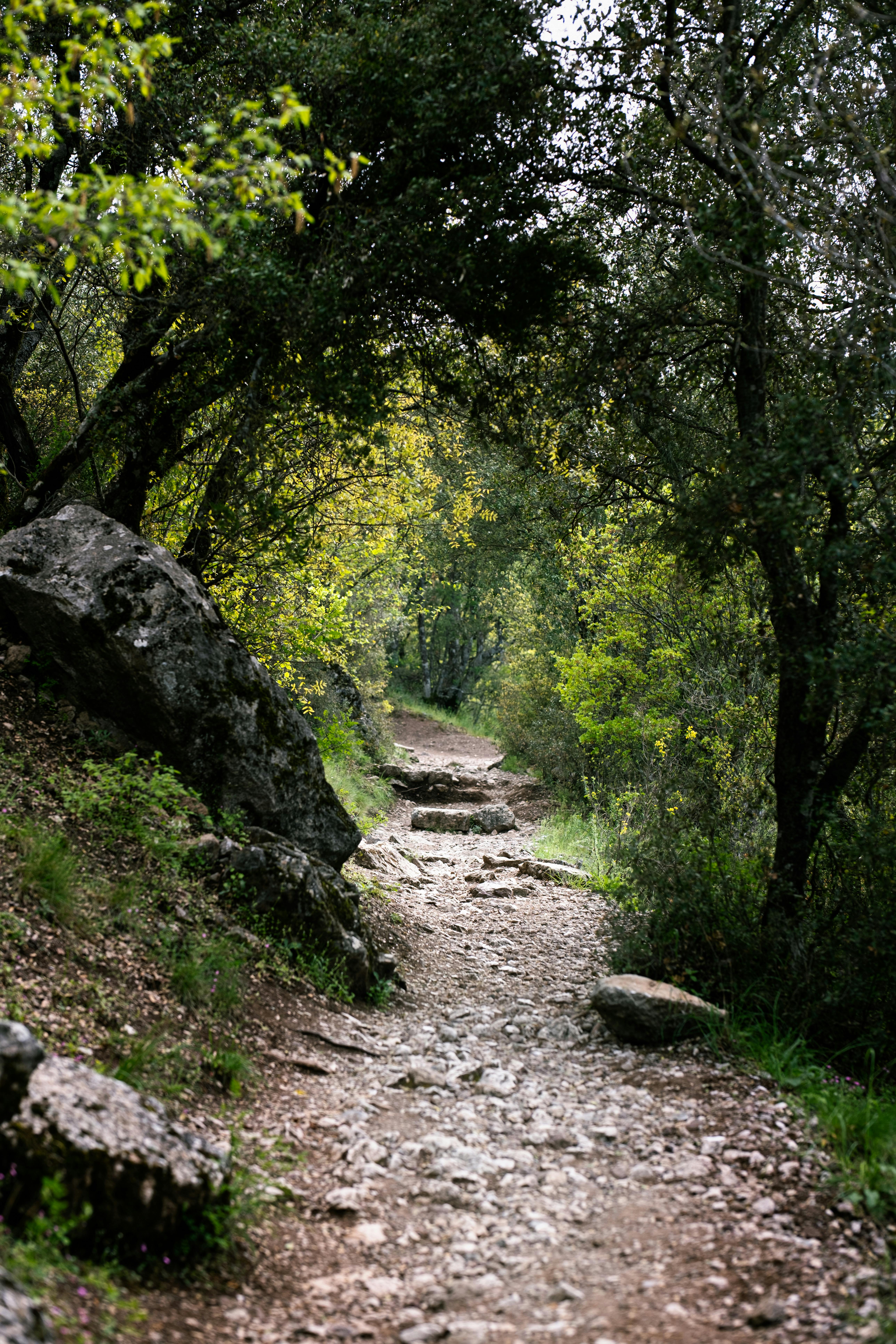 Chemin ou sentier accessible en pleine nature