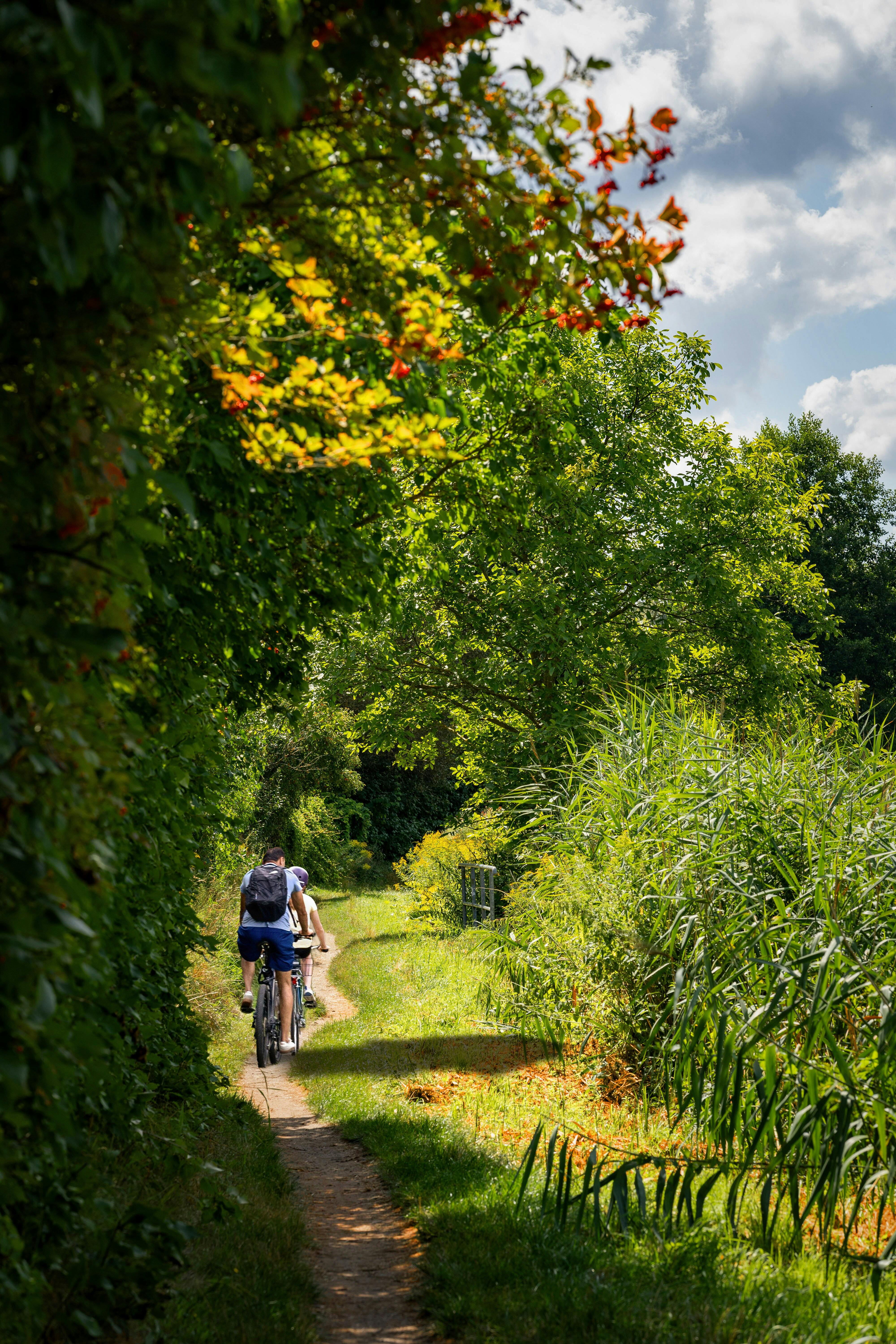 Cycliste sur une route ou un chemin nature