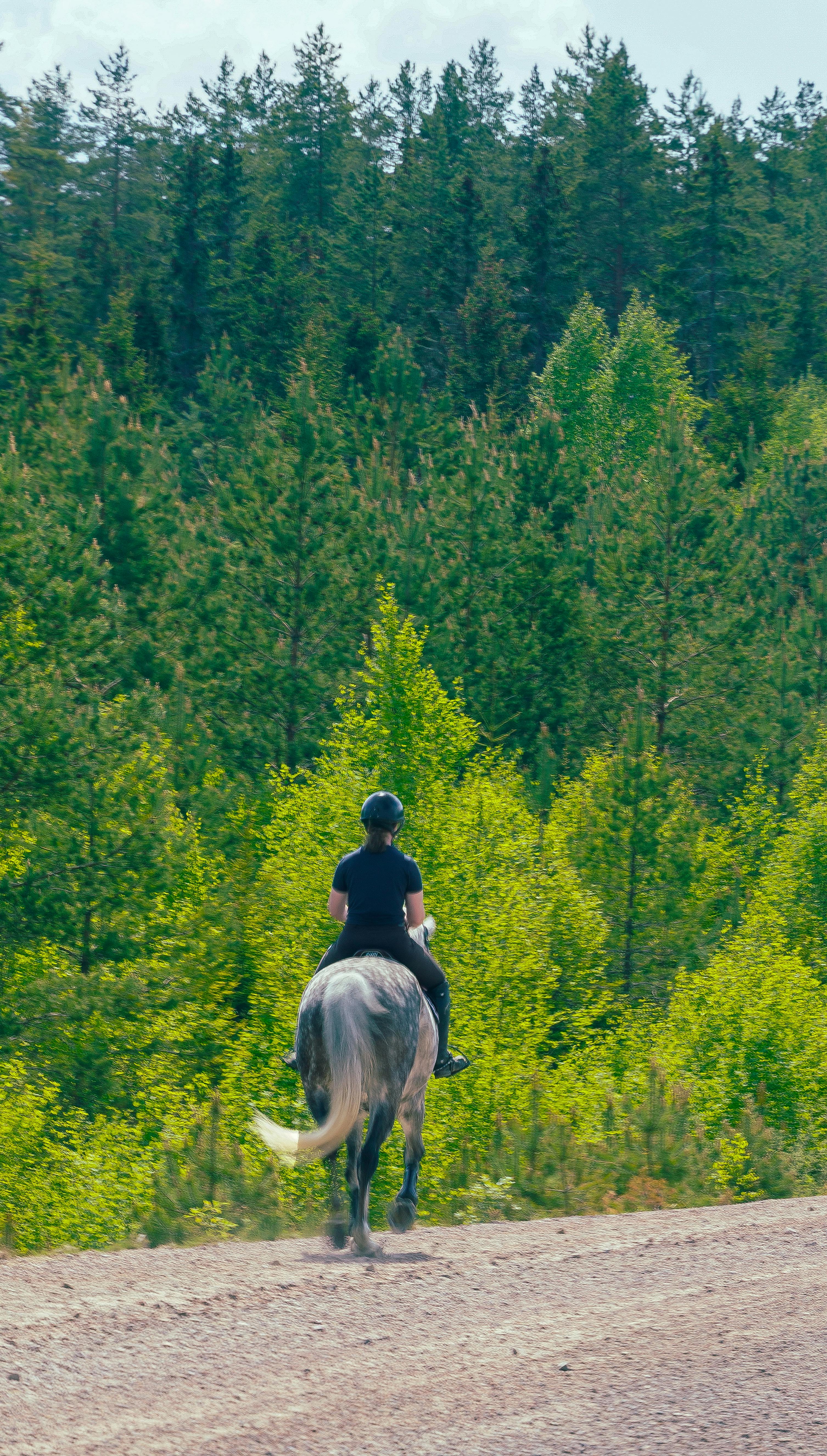 Cavalier sur un chemin en pleine nature